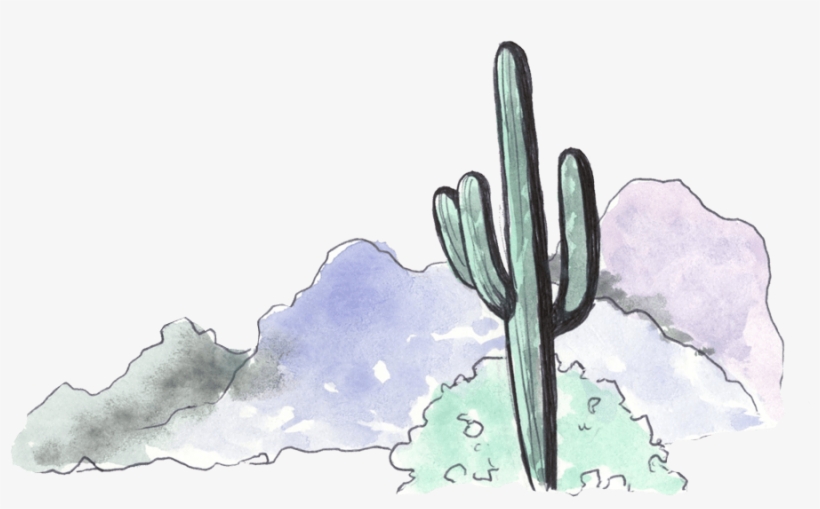 Hedgehog Cactus, transparent png download