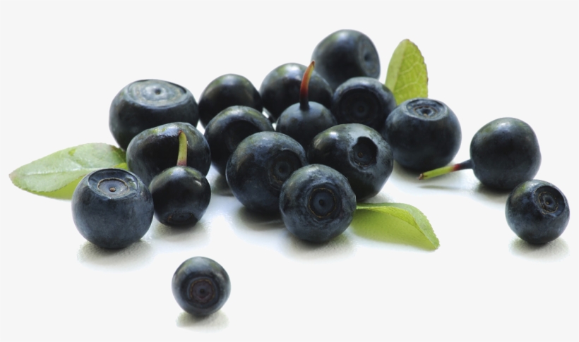Blueberry Transparent Background - Berries Png, transparent png download