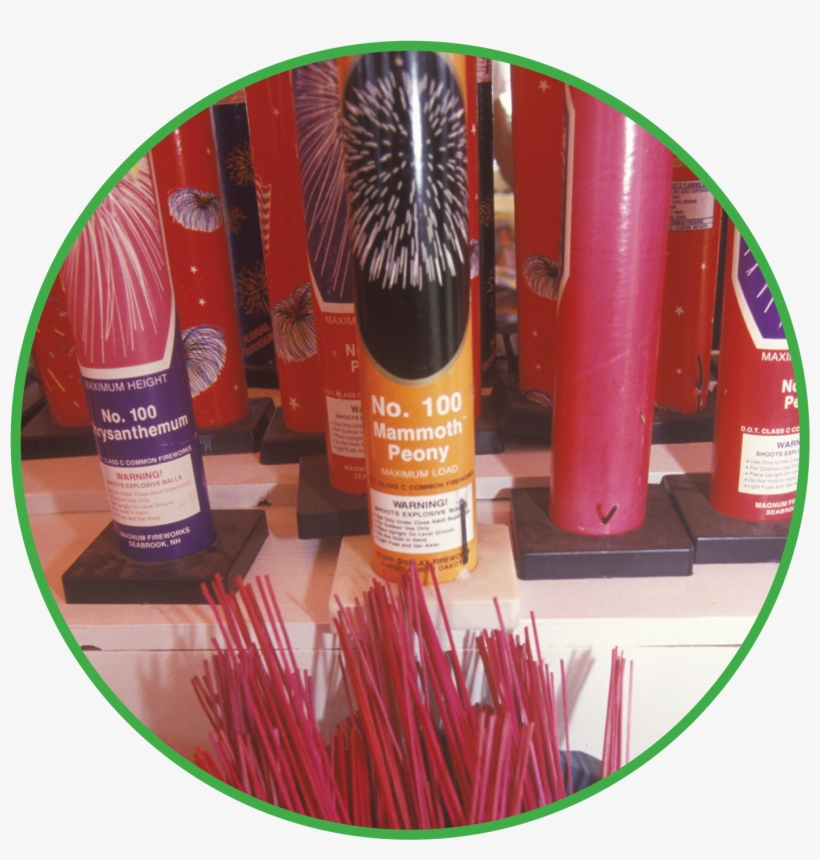 A Flare For Business - Houseplant, transparent png download