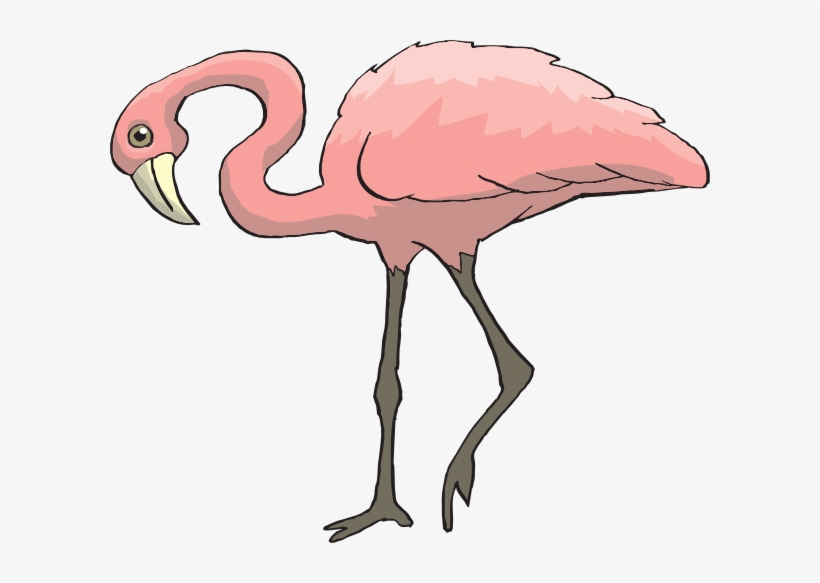 Curious Clip Art At Clker Com Vector Warna Burung Flamingo