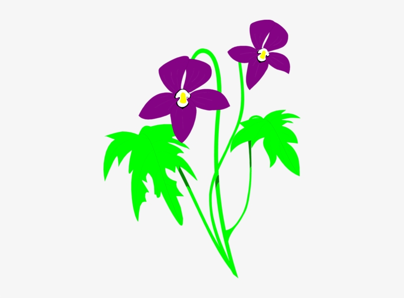 Clipart Info - Flower, transparent png download