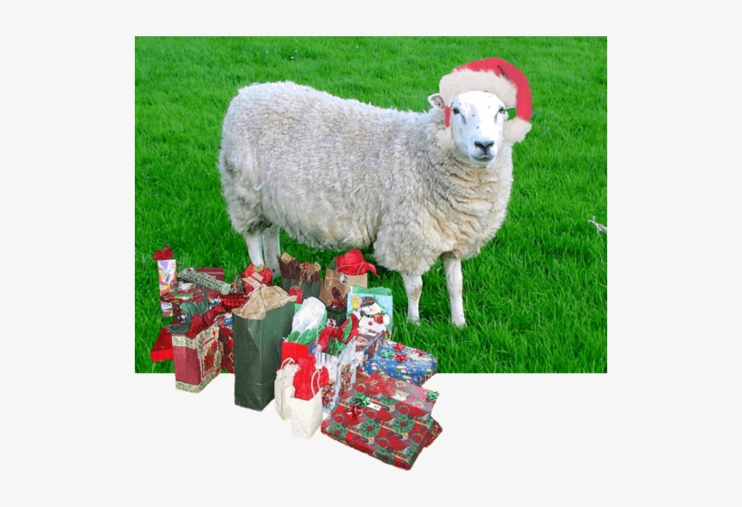 261 × 240 Pixels - Dineo Ranaka Durban July 2018 Outfit, transparent png download