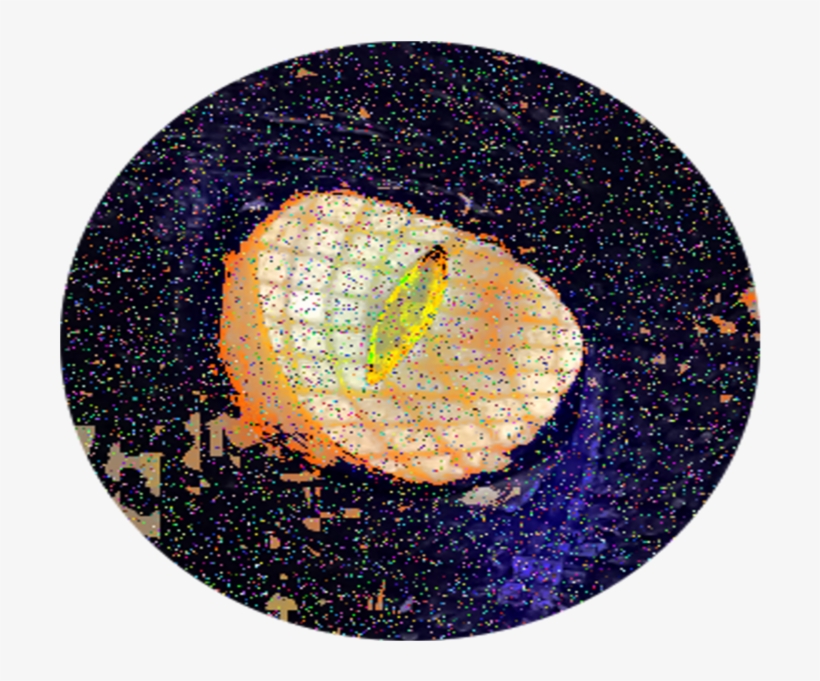 Data Moshing Digital Art Glitch Art Trippy Cat Cat - Circle, transparent png download