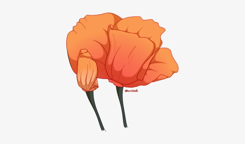 Blooming California Poppies - Poppy, transparent png download
