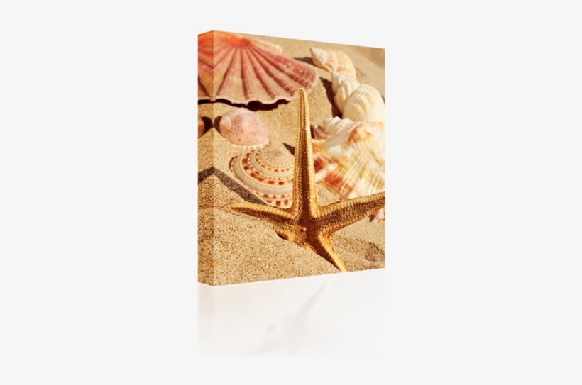 Royal Star - Beach, transparent png download
