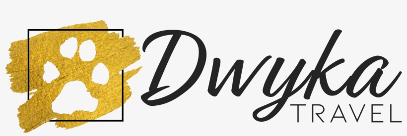 Dwyka Travel Logo Dwyka Travel Logo - Logo, transparent png download
