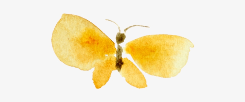 Watercolor Butterfly Clipart Clipartxtras - Watercolor Painting, transparent png download