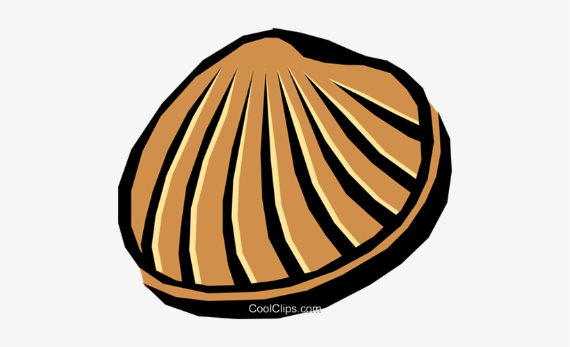 Concha Livre De Direitos Vetores Clip Art Ilustração - Conchas Desenho Png, transparent png download