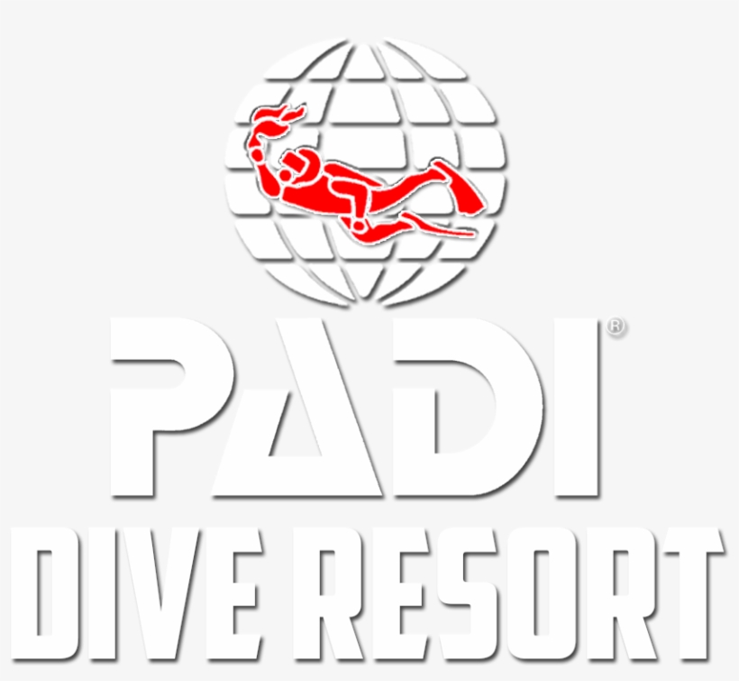 Diving Sapphire Beach Resort - Professional Association Of Diving Instructors, transparent png download