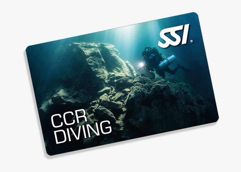 Ccr Course - Creedence Clearwater Revival, transparent png download