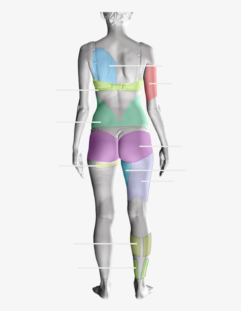 Suitable Treatments - Tights, transparent png download