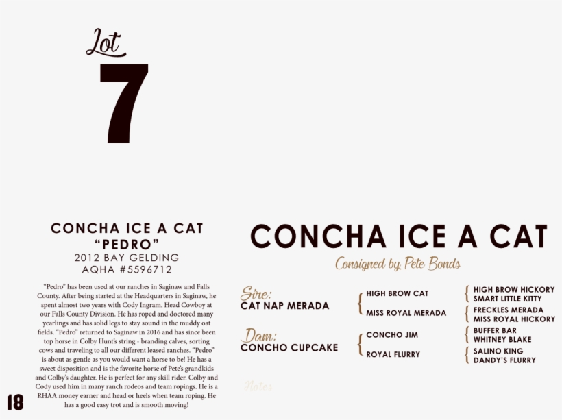 Page0020 1 - Soldaat Van Oranje Musical, transparent png download