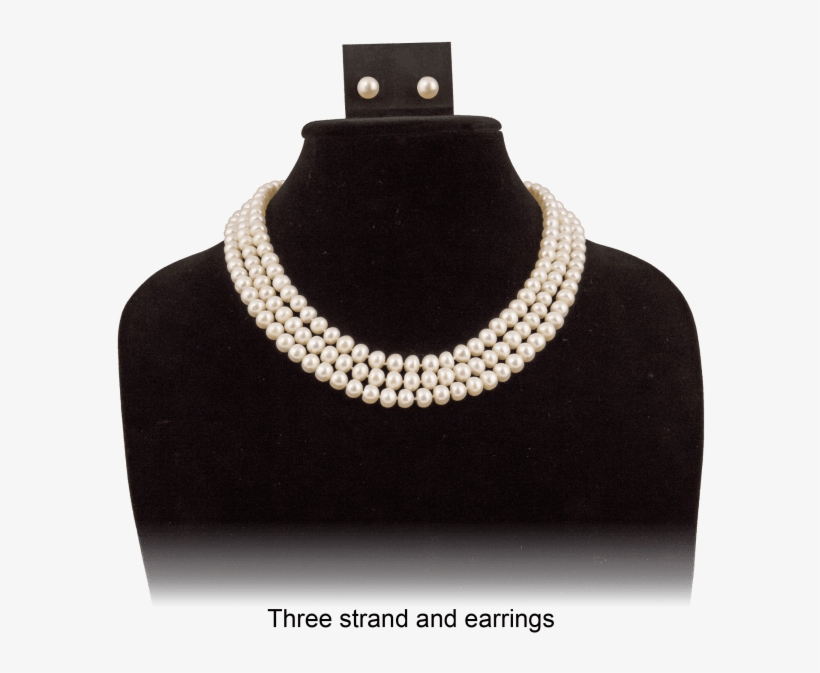 Pearl, transparent png download