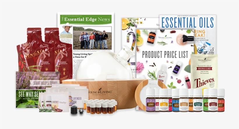 Young Living - Flyer, transparent png download