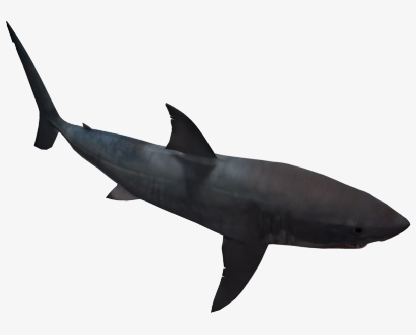 Great White Shark 05 By Wolverine041269 On Clipart - Png Transparent Shark Silhouette, transparent png download