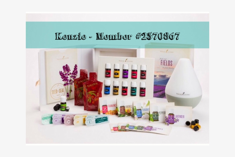 The New And Improved Starter Kit What's Included - Young Living Basic Starter Kit Malaysia, transparent png download