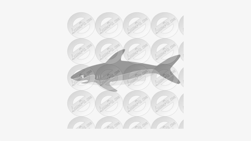 Free Cartoon Shark Clipart, Shark Outline And Shark - Clip Art, transparent png download