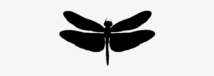 Dragonflies - Illustration, transparent png download