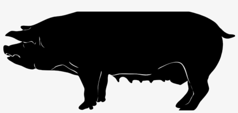 5 Barn Rules To Manage Body Condition In Sows - Pig Silhouette, transparent png download