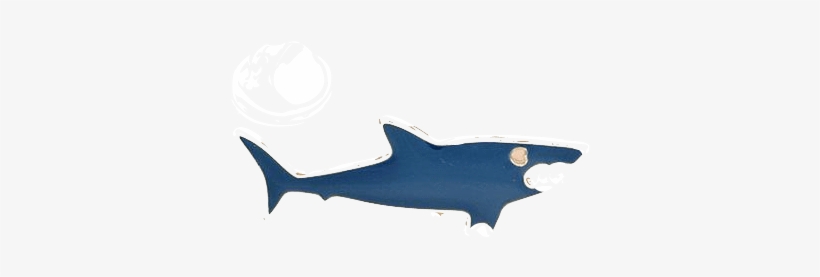 Shark/whale Pin - Whale Shark, transparent png download