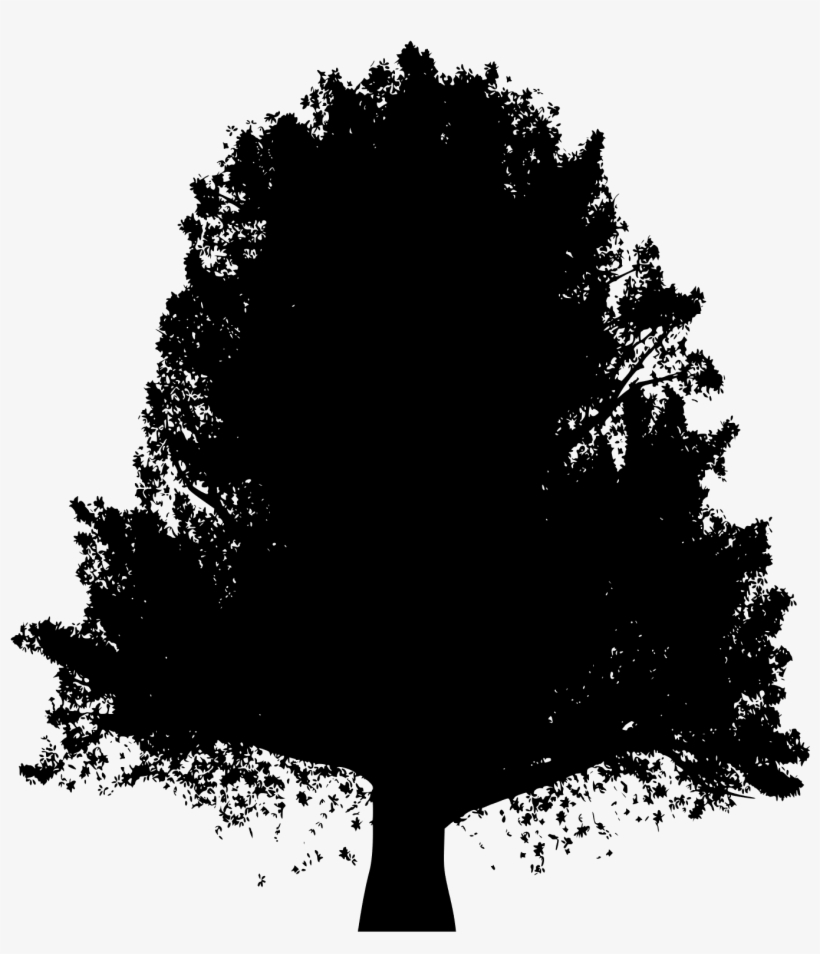 Like A Well-rooted, Strong Tree That Stands Tall And - Painting, transparent png download