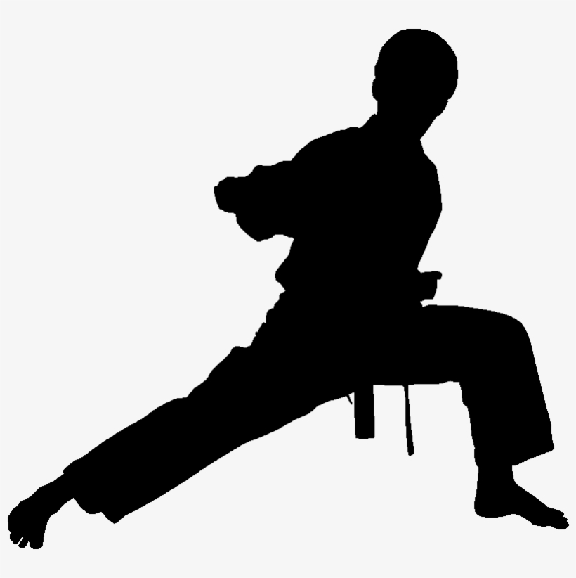 Karate Silhouette Png - Martial Arts Silhouette Png, transparent png download