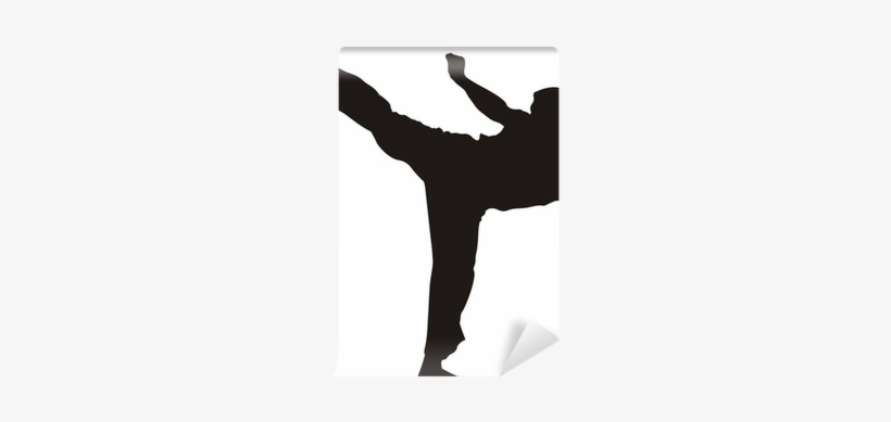 Karate Fighter Kicking - Happy Birthday Martial Arts, transparent png download
