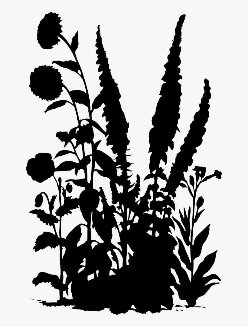 Flowers 15 Silhouette - Fern Silhouettes Png, transparent png download