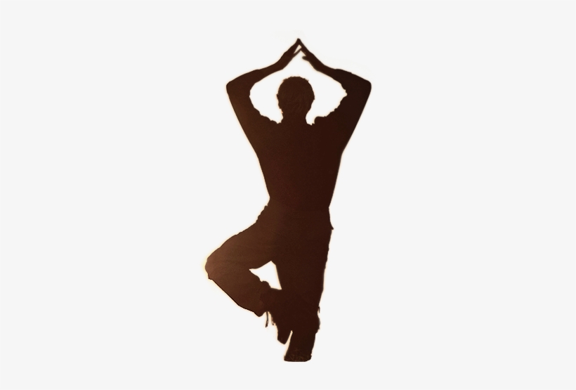 Naples's Premiere Tai Chi Training Center - Florida, transparent png download