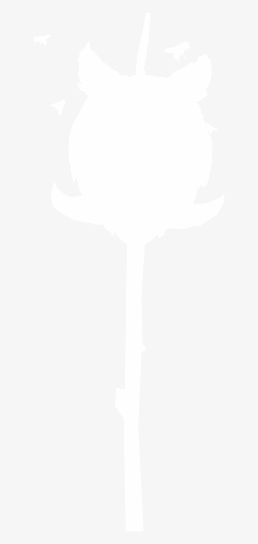 Picture - Illustration, transparent png download