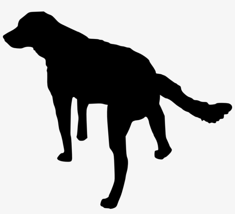 Free Png Dog Silhouette Png Images Transparent - Hunting Silhouette Transparent Background, transparent png download