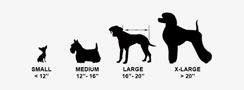 Dog Sizes - Jds Personalized Gifts Personalized Schnauzer Classic, transparent png download