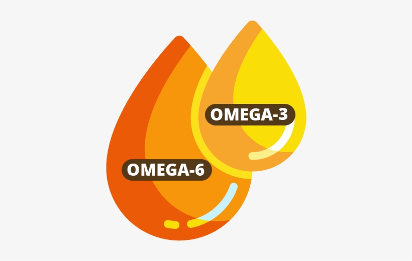 The Original E, H's Menu Serving Nature's Best, Hemp - Omega 3 Logo Png, transparent png download