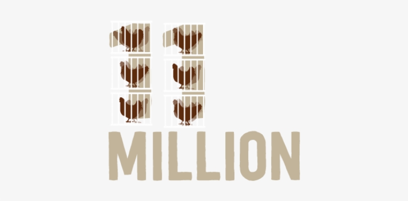 Hens In Cages - Aldi, transparent png download