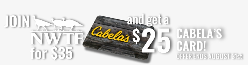 Cabela's - Cabela's 5/64-1/4 Hex Wrench Set, transparent png download