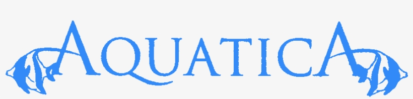 Home - Aquacity Poprad Logo, transparent png download