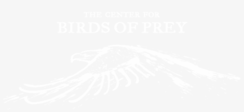 Center For Birds Of Prey Logo - The Center For Birds Of Prey, transparent png download