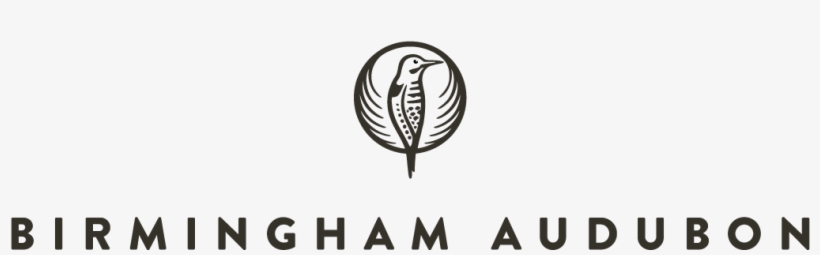Birmingham Audubon - Birmingham Audubon Society, transparent png download