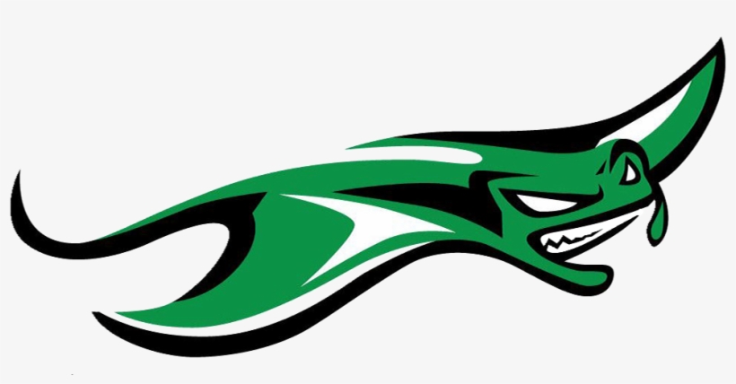 Manta Ray, transparent png download