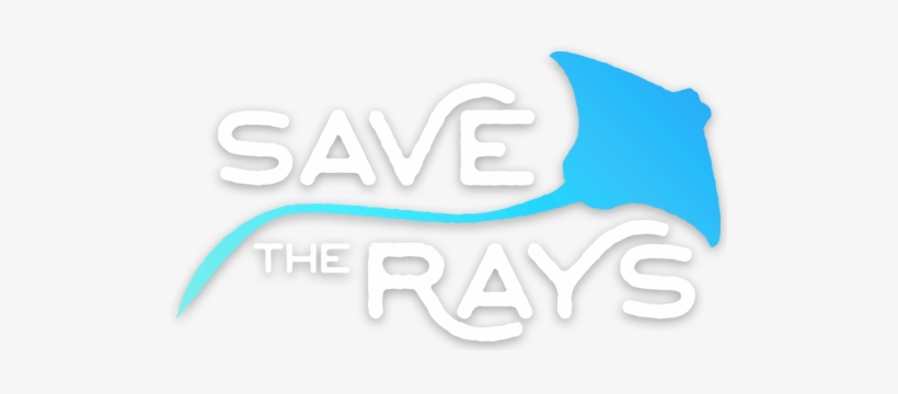 Working To Ban Killing Contests On The Chesapeake Bay - Maryland, transparent png download