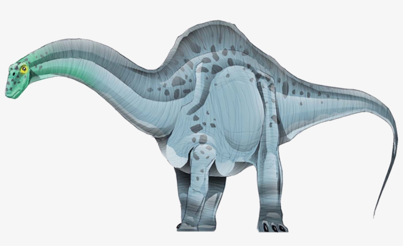 Apatosaurus - Montana Dinosaur Trail Pngs, transparent png download