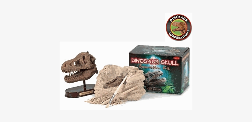 Stimulate Your Child's Mind With A Dino Dig - Geocentral Excavation Dig Kit Dino Skull, transparent png download
