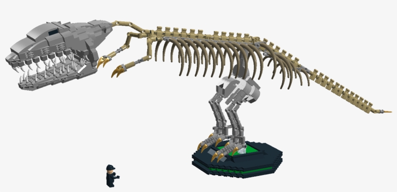 1 / - Skeleton, transparent png download