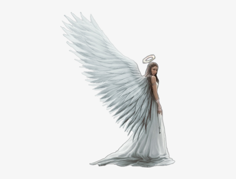 Schalo Sticker - Frases Satisfaccion Del Deber Cumplido, transparent png download