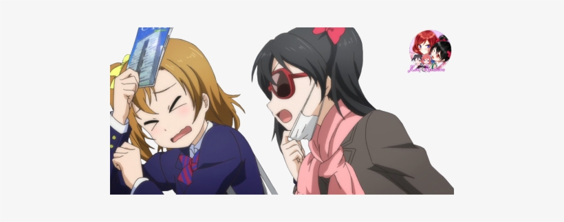 Bunches, transparent png download