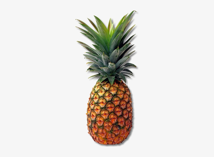 The Banana Tree Is Not Actually A Tree - Pineapple Png, transparent png download