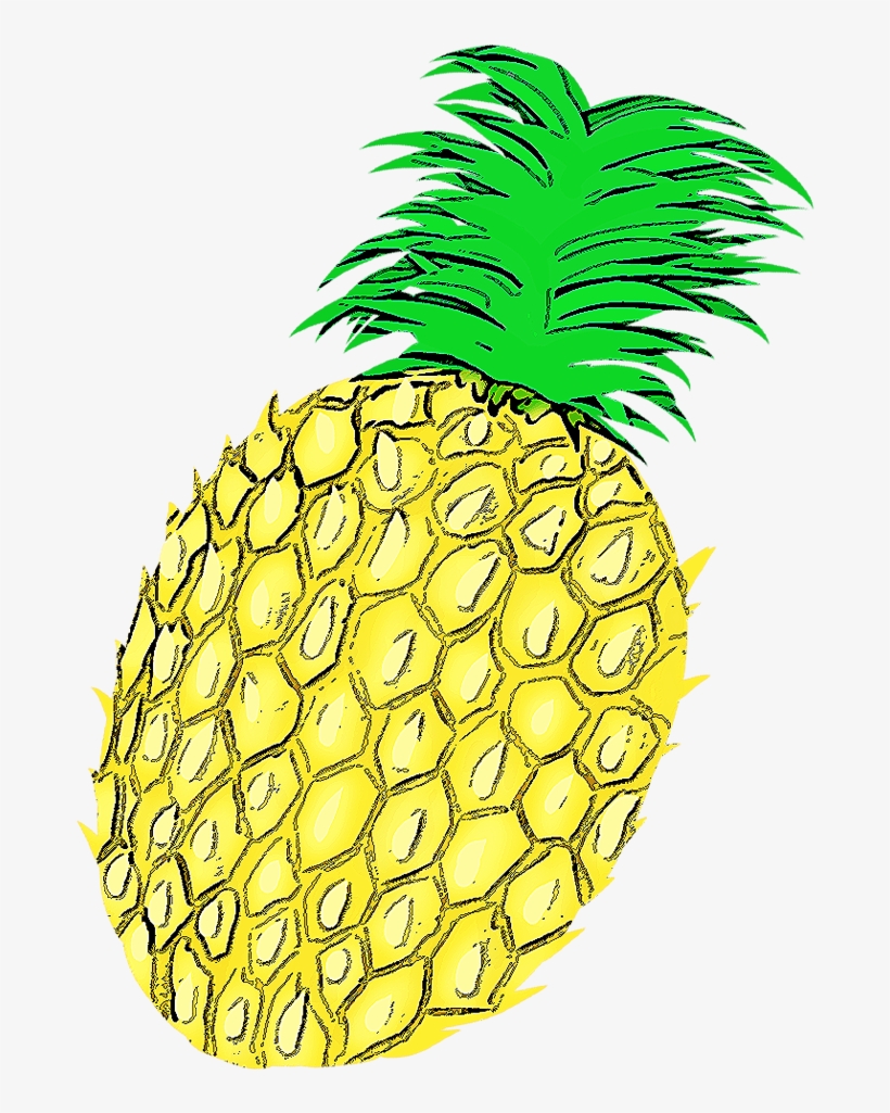 Com Wordpress Wp Content Uploads Pineapple Illust13 - Drawing, transparent png download
