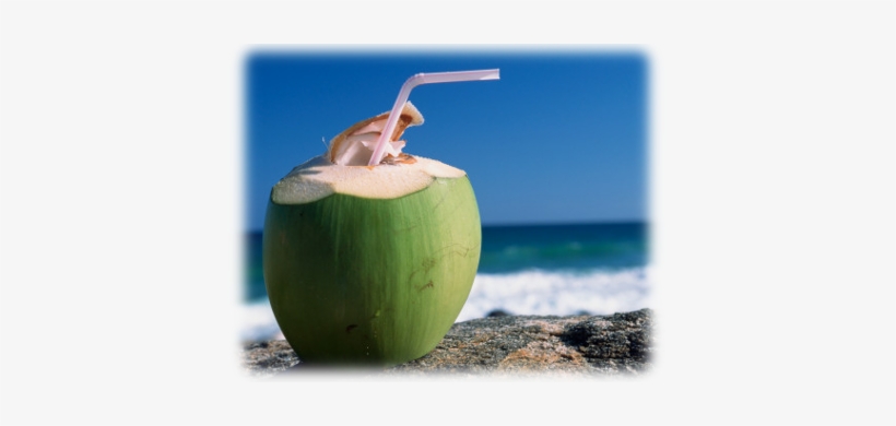 Coconut Water Introduction - Juice Coconut, transparent png download