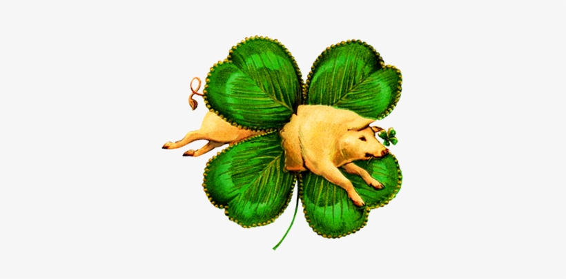 The Wearing Of The Green Png - St Patrick's Day Vintage, transparent png download