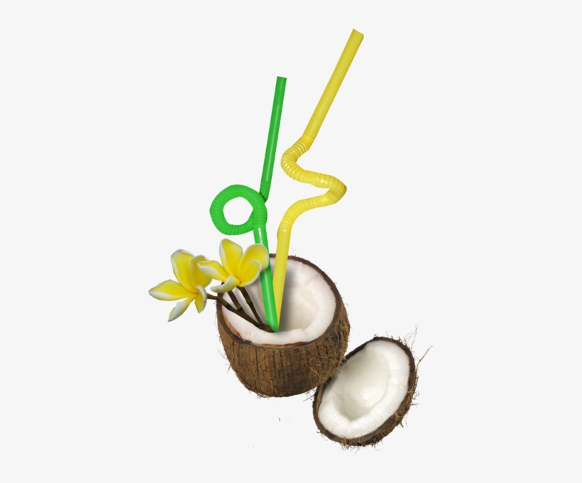 Coconut Drink - Coconut, transparent png download